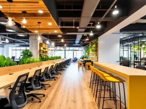 Gopalan Workspace Old Madras Road Workstation 3